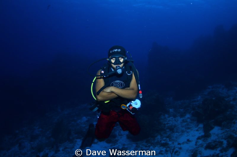 During our dive in Mexico our dive master literally fell ... by Dave Wasserman 