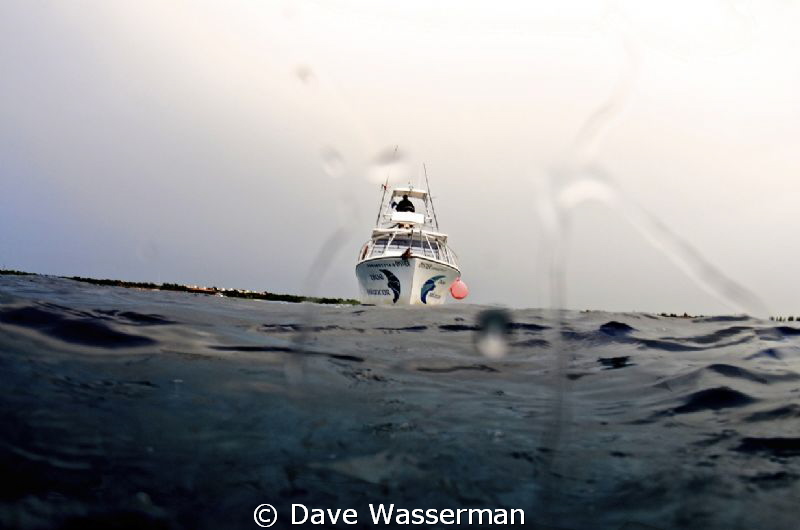 Dive boat by Dave Wasserman 