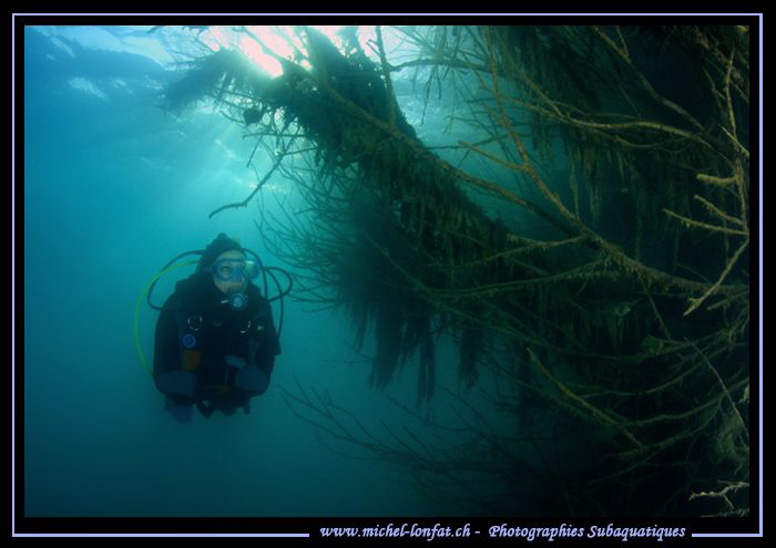 Freshwater diving this week-end...  :O)... by Michel Lonfat 