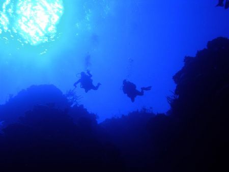 Divers at little Cayman, Mixing Bowl. by Jack Ray 