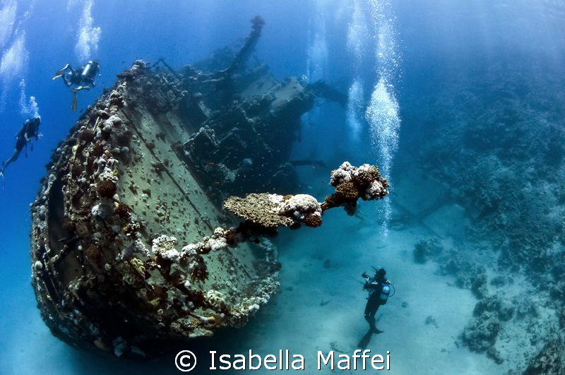 "DIVING EXPLORER"
Egypt , berenice, Abu Gusum Wreck by Isabella Maffei 