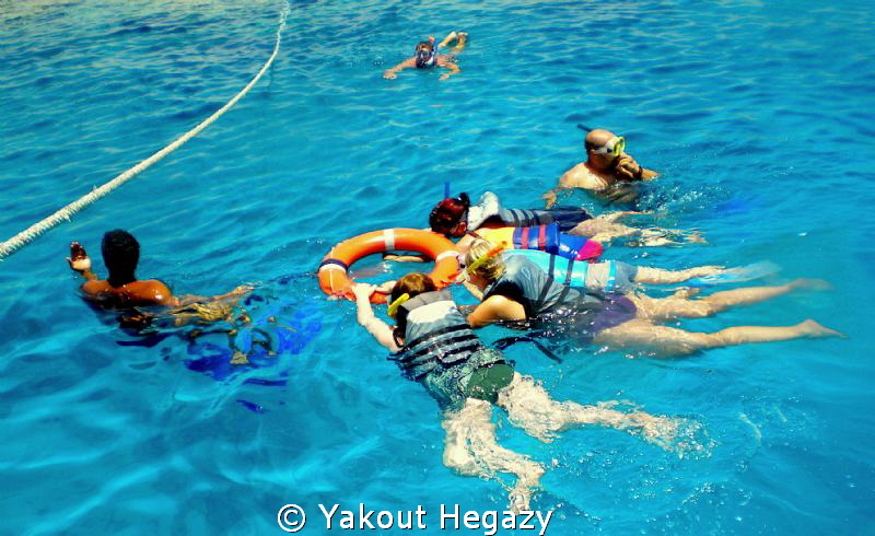 Learn surface diving(SHARM el-shiekh by Yakout Hegazy 