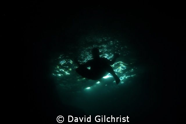 Swimmer jumping into the water at the Grotto site, Georgi... by David Gilchrist 