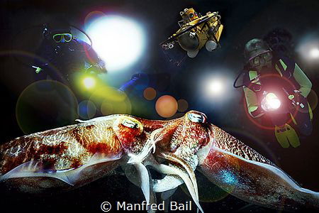 mating squids - and a view things added - nikonosV by Manfred Bail 