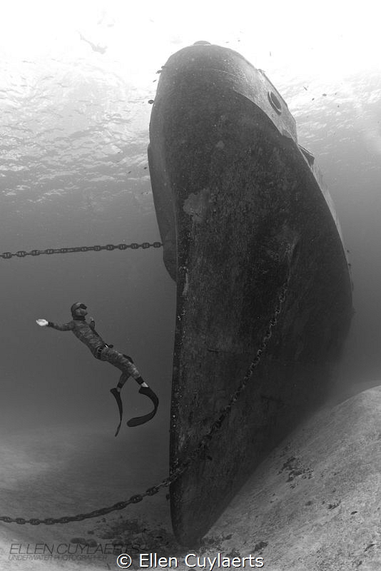 Fly

Freediver at the bow of the EX-USS Kittiwake (Mark... by Ellen Cuylaerts 