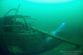 Lilly wreck in the Baltic sea 