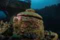 Santa Cararia wreck 