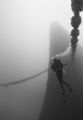 My Lovely Pam at 120' cruising around the Bow of the Spiegel Grove. Shot in natural light B & W 400 film 15mm lens. Lucky day , Visibility, usually not so good on this wreck . 