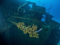 Hilma Hooker on Bonaire. A nice wreck for every diver. 