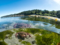 Beautiful tide pool 