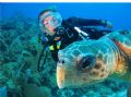 Bobbi swimming with a friendly turtle. San Pedro, Belize. Canon SD550. 