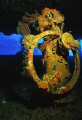 The helm of the Nippo Maru in Truk lagoon. Nikonos V w/ 15mm and a single sb-105 strobe. Fuji velvia 50 