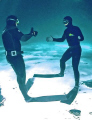 Apnea divers greet each other under the ice at Morrison's Quarry. Nikonos V, manual exposure with 12mm Sea & Sea lens. Cropped for subject, colour corrected and scratches removed in Photoshop. 