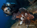 Diver Encounter with a Red Lionfish
East End, Grand Cayman
 