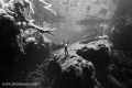 Woman Free Diving at Cenote Jardin del Eden, Quintana Roo, México. 