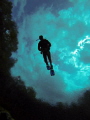 Alexander Springs Florida diver flying through the sky.  Shot with a GoPro Hero 3 