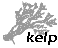 kelp