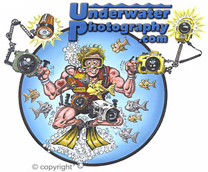 underwater Photoshop