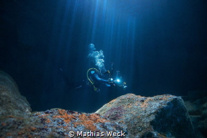 Underwater Photo Contest Entries By Mathias Weck