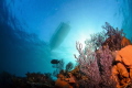 This is a view from the coral reef in Cabo Pulmo National Park, one of the most successful marine reserves in the world. Cousteau once called it 