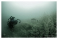 Diver taking a shoot of an adult pike in a little lake