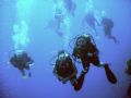 open water students on final dive.taken with pentax optio in sharm whilst swimming backwards.