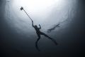 Underwater videographer Mike Wood keeping an eye out for sharks coming in from behind, Nikon D100, 16mm lens