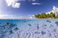 Tikehau lagoon, when clear water enter in the lagoon...