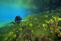 Diving with my friend. He doesn't like posing for my camera :)