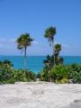 Taken on the coast of Cozumel at Tulum