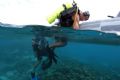 divers getting back on the boat at las aves