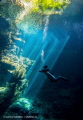 The position of our diveguide David and the lightrays from the sun where just right when we did our safety stop in the Cenote 