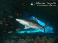 Shark cave in Mauritius, amazing landscaping with some nice natural light.