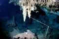 Caveline=lifeline, photo was taken in an underwater cave near Playa Del Carmen Mexico, 15mm fisheye lens with dome port on a Sea and Sea DX30/60 with Substrobe 200.