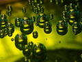 shot of bubbles and seasquirt taken by Olympus tg-3. inside bubbles images, there're seqsqirt's images.