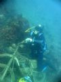 bikefanatic.
Discovered this sunken bike at Valletta