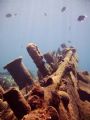 One of the few shots I managed to get on the Cristobal Colon (largest shipwreck in Bermuda) before my camera died! The fish in the background are Sergeant Majors, probably the most abundant fish on this wreck.