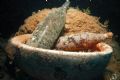 Still life from the Heian Maru after 65 years on the bottom. Note the cruise line logo on the bowl. Shot on top of deck at 60 feet with Nikon Coolpix 5000 in Ikelite housing. If you haven't been to Truk, you gotta' go! Dive cheerfully!