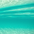 I took this picture with my gopro hero 4. Didn't realize it's awesomeness until looking through my pics later that night. What's amazing is that the beach this was taken at (Trunk Bay, St John, USVI) was very crowded, so I was lucky.