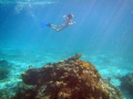 Snorkeling on Sunset Reef on the East Side of Grand Cayman while ice and snow covered the ground back home in Atlanta, Georgia.