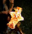 Nudi Branch and Emperor Shripm,dive spot TK3-Lembeh Strait,16M deep.Digital camera SONY Cyber Shot