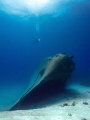 The Kittiwake takes on a different perspective when you add a diver in for scale.