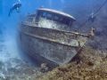 The Mr. Bud. Roatan, Bay Islands. Fuji F810, Inon WAL, ambient light.