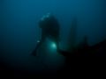 A film crew prepares to film the interior of the U352 a German U-boat sunk off the coast of North Carolina. I was moved by how the picture captures the loneliness and isolation of the sailors' resting place.