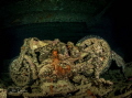 Wreck of the SS Thistlegorm, Red Sea, Egypt. BSA motorbikes in hold.