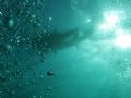 The Abyss. Taken from 9 metres down of my buddy just below the surface on the way down to the wreck of the Clan Stuart.