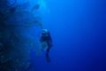 my wife Eva, taken june 2002 around Marsa Alam