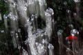 'Goldfish at Waterfall'.Photo was shot through an opening of a waterfall in Niagara Falls