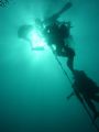 The long Ascent - Malta - I was the last diver at the end of the ascent line and got this picture. This is my first picture Im enetering in your competition and it wont be my last!