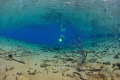 Freshwater spring in the mountains